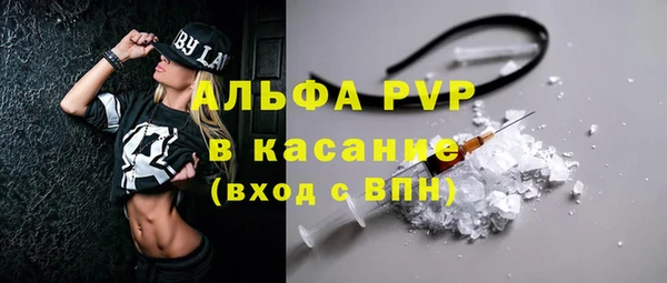 МДПВ Бородино