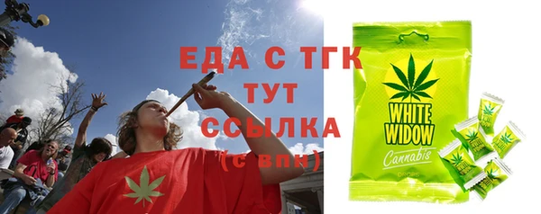 МДПВ Бородино