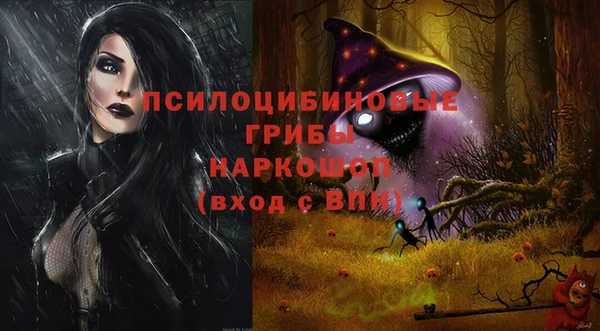 прущие крисы Бронницы