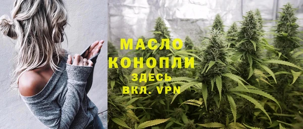 МДПВ Бородино