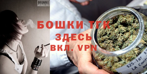 МДПВ Бородино