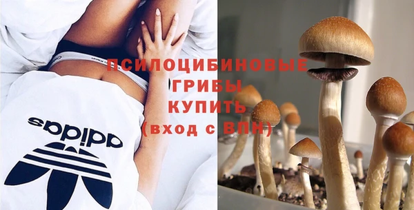 прущие крисы Бронницы