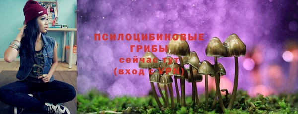 СК Богородск