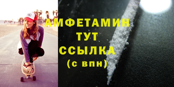 МДПВ Бородино